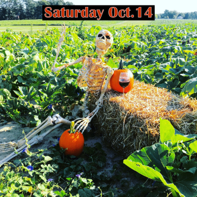 Gourds, Goblets and Ghouls Festival - Saturday October 14, 2023, 11-6pm